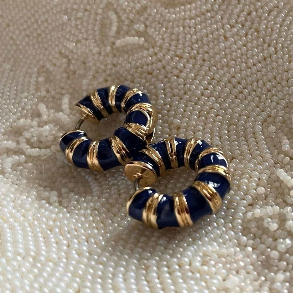 ✨Anthropologie Collins Earrings